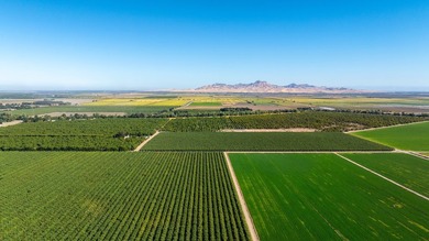 Situated amidst walnut orchards and along the scenic Sacramento - photo 6