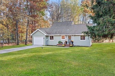 Lake Home For Sale in Canadian Lakes, Michigan