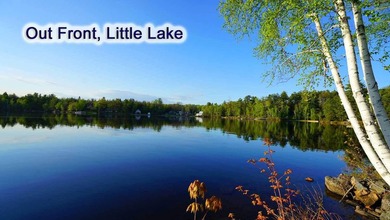 Rare Opportunity To Have Acreage On A Big Beautiful Maine Lake - photo 12