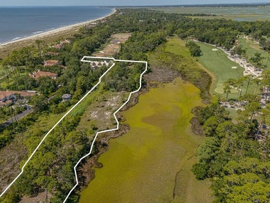 Unique Opportunity for 1-2 Estate sized homes in Ocean Forest - photo 1