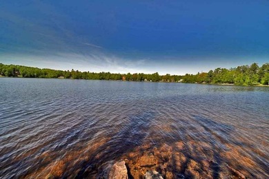 Rare Opportunity To Have Acreage On A Big Beautiful Maine Lake - photo 21
