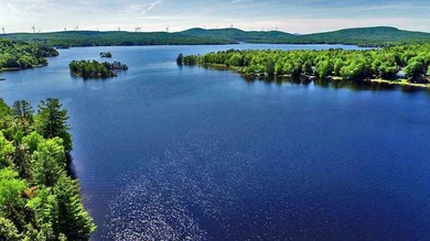 Rare Opportunity To Have Acreage On A Big Beautiful Maine Lake - photo 23