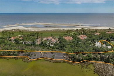 Unique Opportunity for 1-2 Estate sized homes in Ocean Forest - photo 4