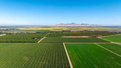 Rich walnut farming traditions are at the heart of the 236 - photo 4
