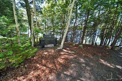 Rare Opportunity To Have Acreage On A Big Beautiful Maine Lake - photo 27
