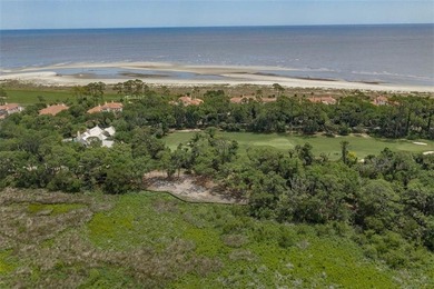 Unique Opportunity in Ocean Forest with views of the Marsh - photo 3