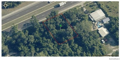 Tsala Apopka Chain of Lakes Lot For Sale in Inverness Florida