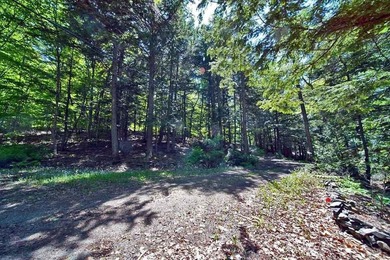 Rare Opportunity To Have Acreage On A Big Beautiful Maine Lake - photo 54