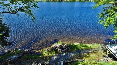 Rare Opportunity To Have Acreage On A Big Beautiful Maine Lake - photo 56