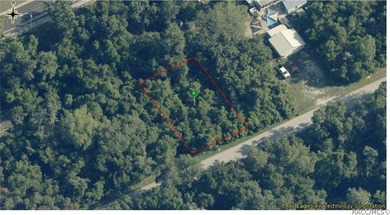Tsala Apopka Chain of Lakes Lot For Sale in Inverness Florida