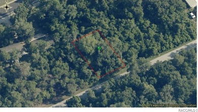Tsala Apopka Chain of Lakes Lot For Sale in Inverness Florida
