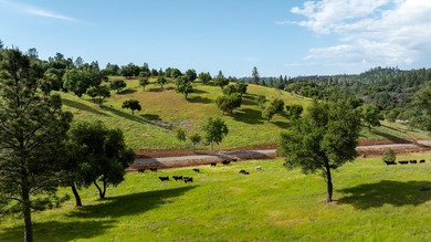 Nestled in the golden foothills of Greenwood, CA, the Heart Rock - photo 5