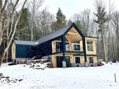 Lake Home For Sale in Windham, New York