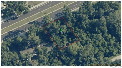 Tsala Apopka Chain of Lakes Lot For Sale in Inverness Florida