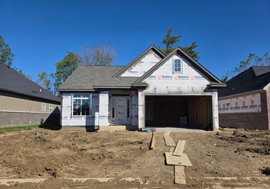 (private lake, pond, creek) Home For Sale in New Boston Michigan