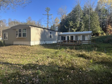 Pine River - Lake County Home For Sale in Luther Michigan