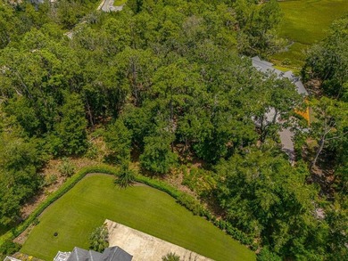 Welcome to 117 Jones Creek Drive - a rare opportunity to own a 1 - photo 9