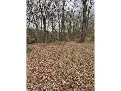 (private lake, pond, creek) Acreage Sale Pending in Allegan Michigan