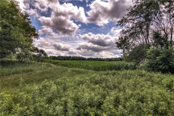 Cedar Lake - Polk County Acreage For Sale in New Richmond Wisconsin