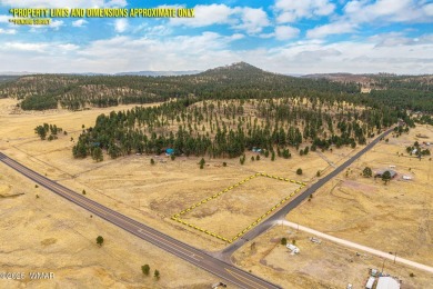 Lake Acreage For Sale in Alpine, Arizona