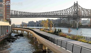 Experience elevated Upper East Side living at Bridge Tower - photo 17