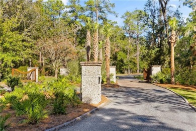 Lake Acreage For Sale in Saint Simons, Georgia