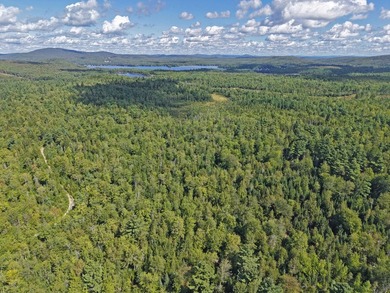 Located between Ellsworth & Bangor this 223+/- acre wooded - photo 11