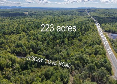Located between Ellsworth & Bangor this 223+/- acre wooded - photo 12