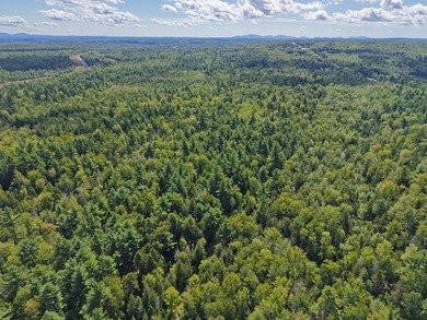 Located between Ellsworth & Bangor this 223+/- acre wooded - photo 13