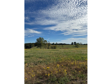 Fabulous property in south Washington County. Property consists - photo 15