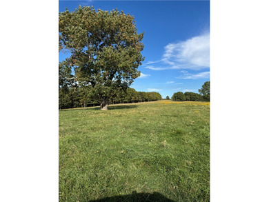 Fabulous property in south Washington County. Property consists - photo 16