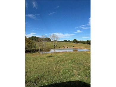 Fabulous property in south Washington County. Property consists - photo 18