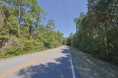 Freeport 5-acre parcel with 3BR/2BA mobile home (2000). Wooded - photo 20