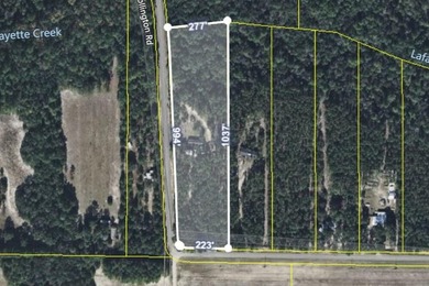 Freeport 5-acre parcel with 3BR/2BA mobile home (2000). Wooded - photo 21
