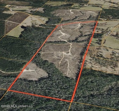 Here's your chance to own a sizeable piece of South Mississippi - photo 2