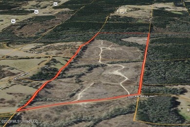 Here's your chance to own a sizeable piece of South Mississippi - photo 3