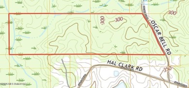 Here's your chance to own a sizeable piece of South Mississippi - photo 4