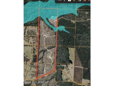 Here's your chance to own a sizeable piece of South Mississippi - photo 5