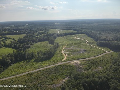 Here's your chance to own a sizeable piece of South Mississippi - photo 6