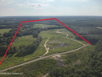 Here's your chance to own a sizeable piece of South Mississippi - photo 7