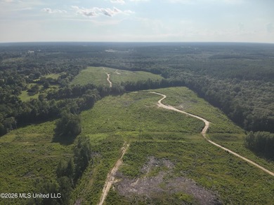 Here's your chance to own a sizeable piece of South Mississippi - photo 8