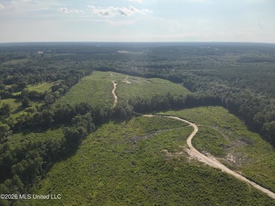 Here's your chance to own a sizeable piece of South Mississippi - photo 9