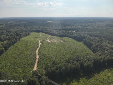 Here's your chance to own a sizeable piece of South Mississippi - photo 10