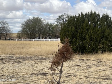 Lake Acreage For Sale in Springerville, Arizona