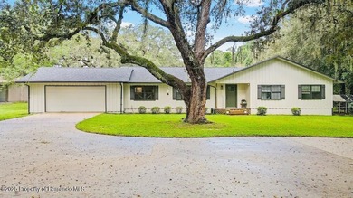 Tsala Apopka Chain of Lakes Home For Sale in Floral City Florida