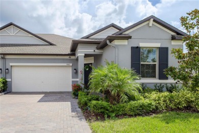 Lake Home For Sale in Land O Lakes, Florida