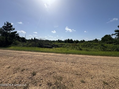 40+/- Acres - Topisaw Creek Recreational Tract Southwest - photo 1