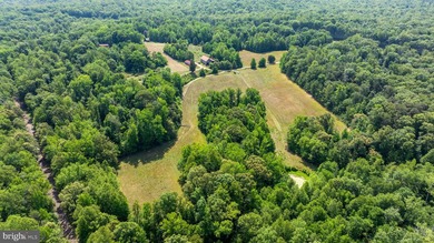 Rare opportunity to own approximately 93 acres of highly usable - photo 8