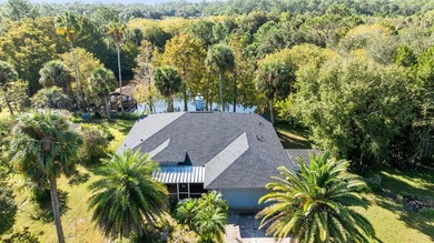 Lake Harney Home For Sale in Geneva Florida