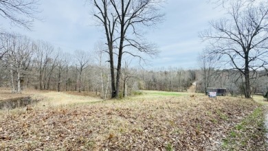 Rough River Lake Acreage For Sale in Falls Of Rough Kentucky